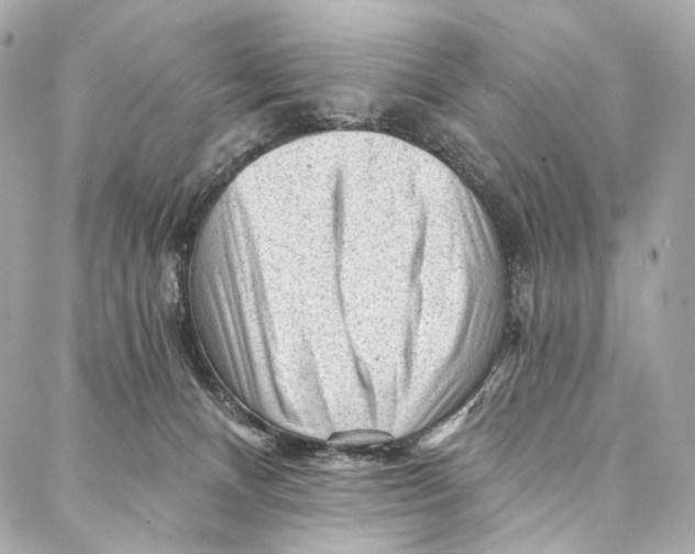 X0000087030128200705071544