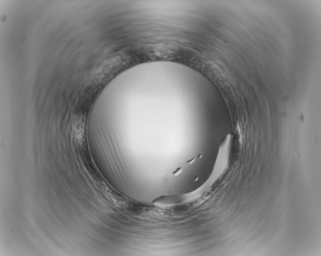 X0000087030129200705071544