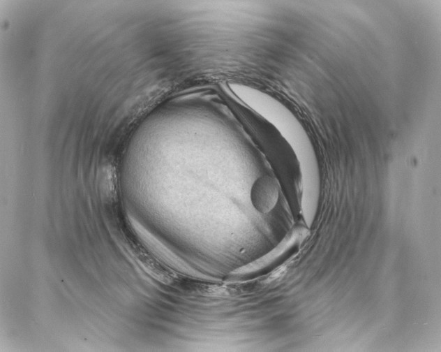 X0000087030130200705071544