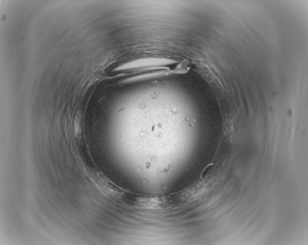 X0000087030131200705071544