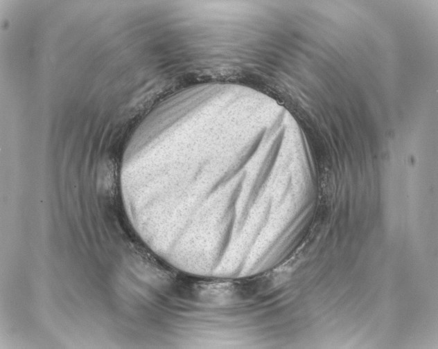 X0000087030132200705071544