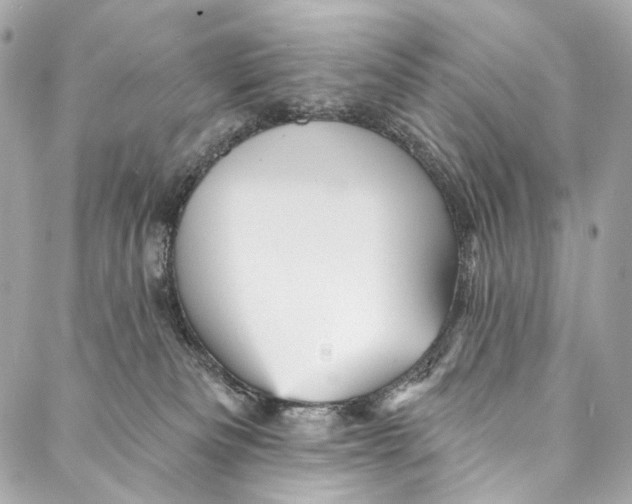 X0000087030133200705071544