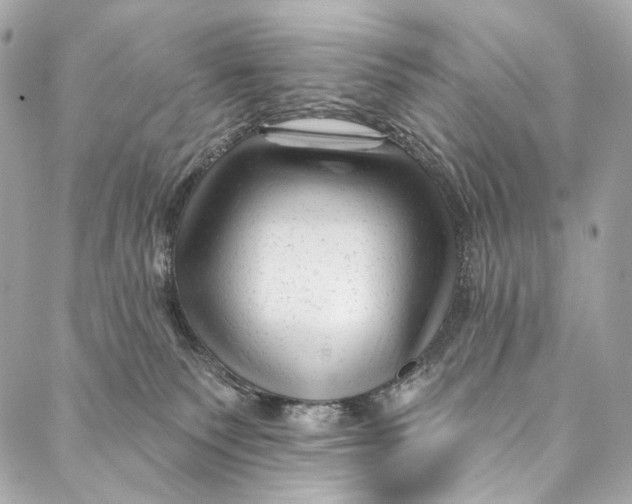 X0000087030135200705071544