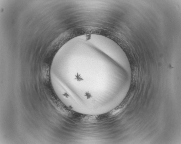 X0000087030138200705071544