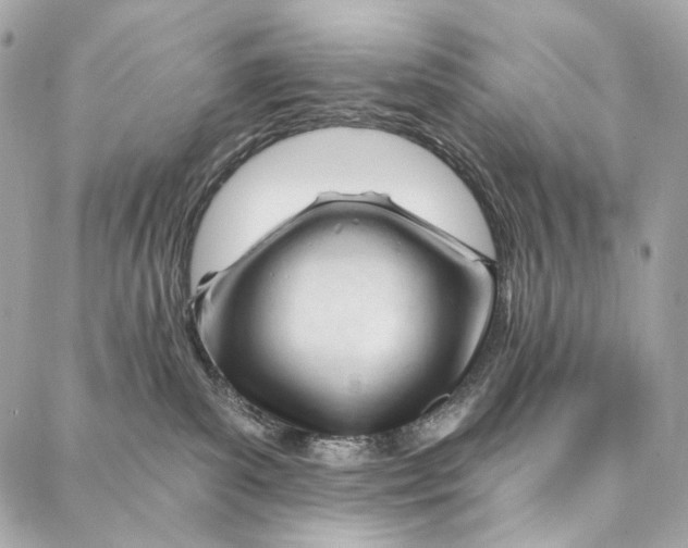 X0000087030139200705071544