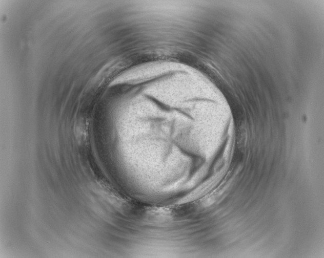 X0000087030140200705071544