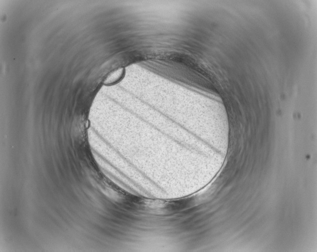 X0000087030144200705071544