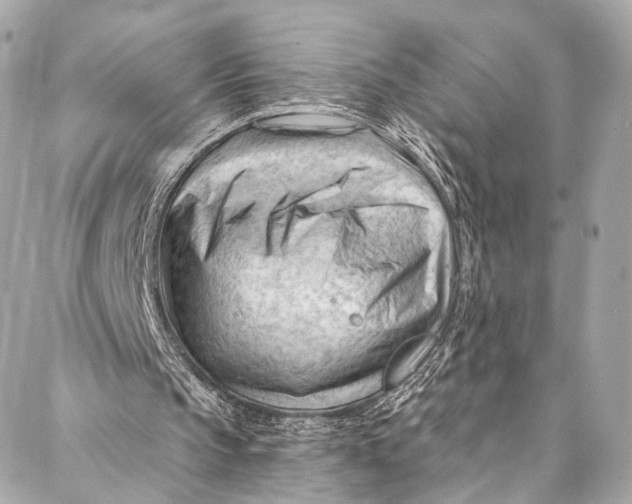 X0000087030145200705071543