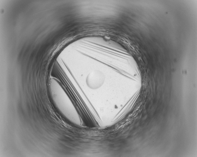 X0000087030146200705071543