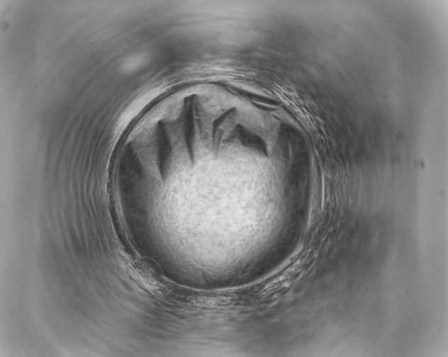 X0000087030147200705071543