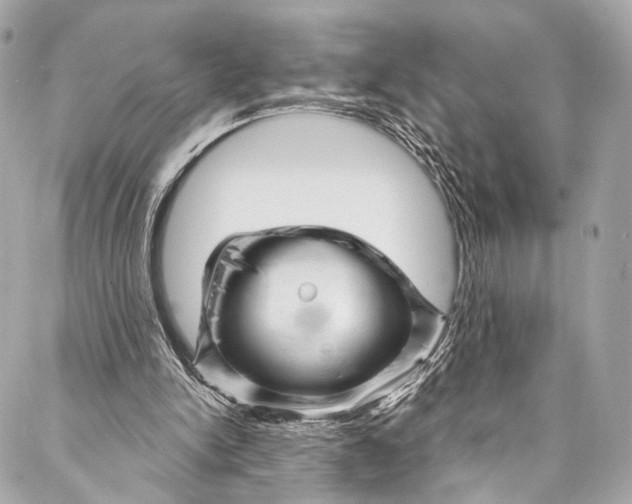 X0000087030150200705071543