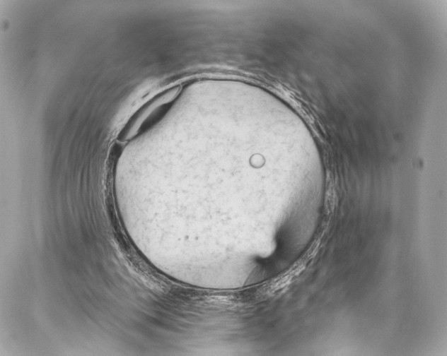 X0000087030151200705071543