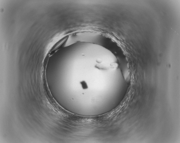 X0000087030152200705071543