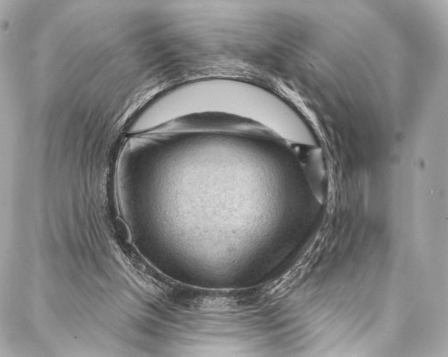 X0000087030154200705071543