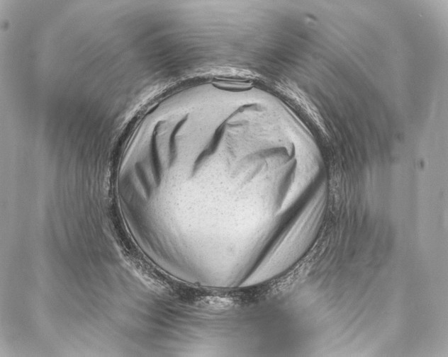 X0000087030159200705071543