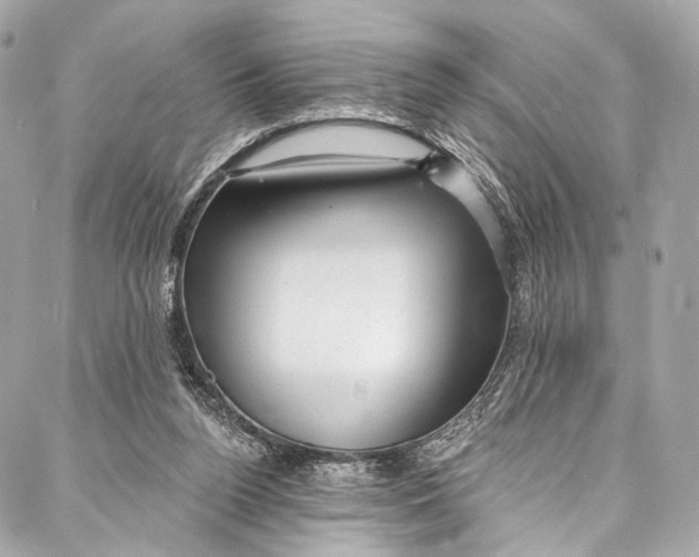 X0000087030160200705071543