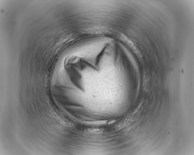 X0000087030161200705071543