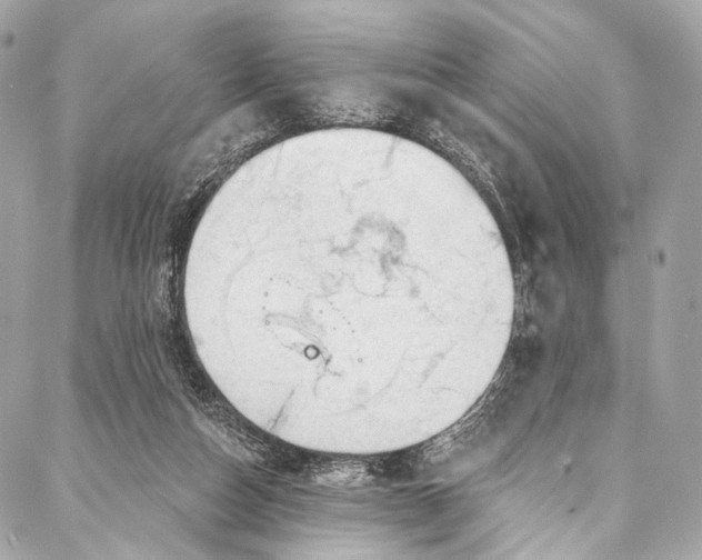 X0000087030162200705071543