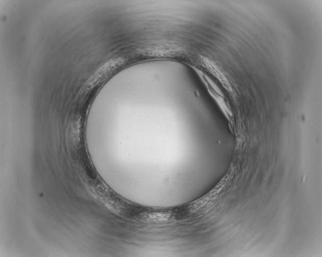 X0000087030163200705071543