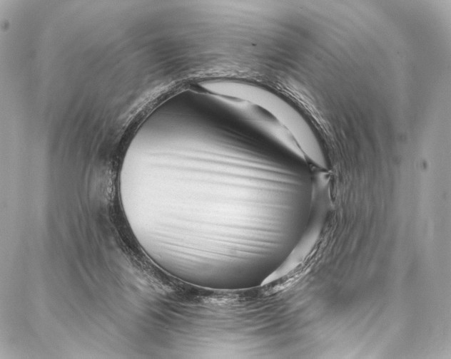 X0000087030164200705071543