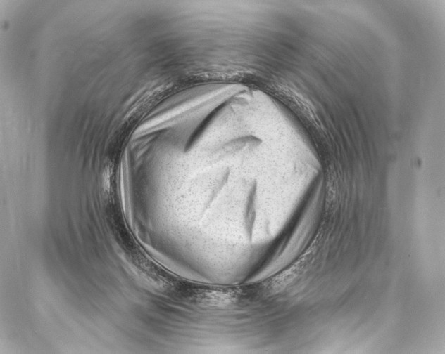 X0000087030166200705071543