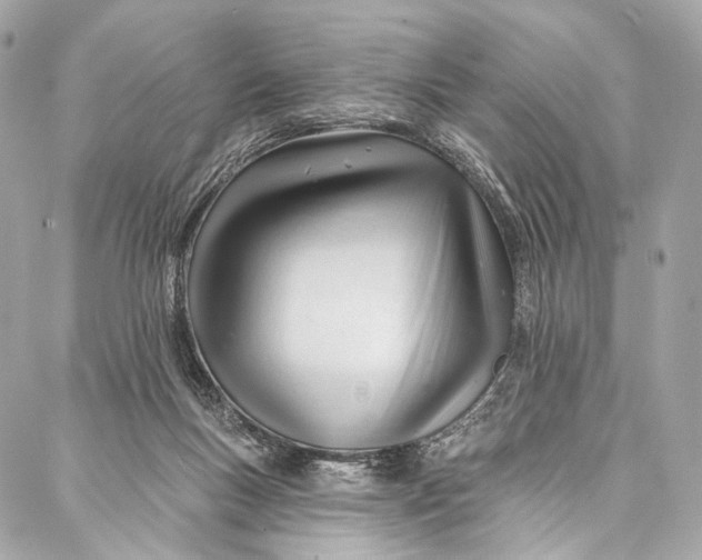 X0000087030167200705071543