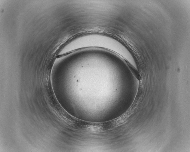 X0000087030168200705071543