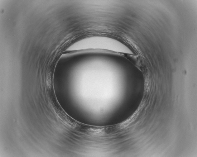 X0000087030170200705071543