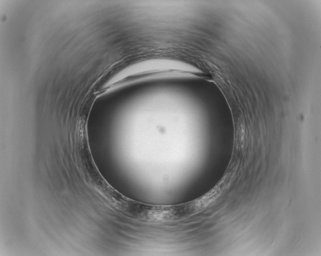 X0000087030172200705071543