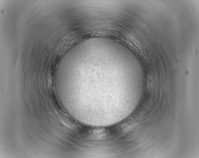 X0000087030173200705071543