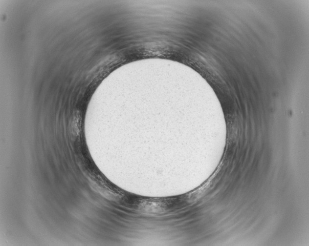 X0000087030174200705071543