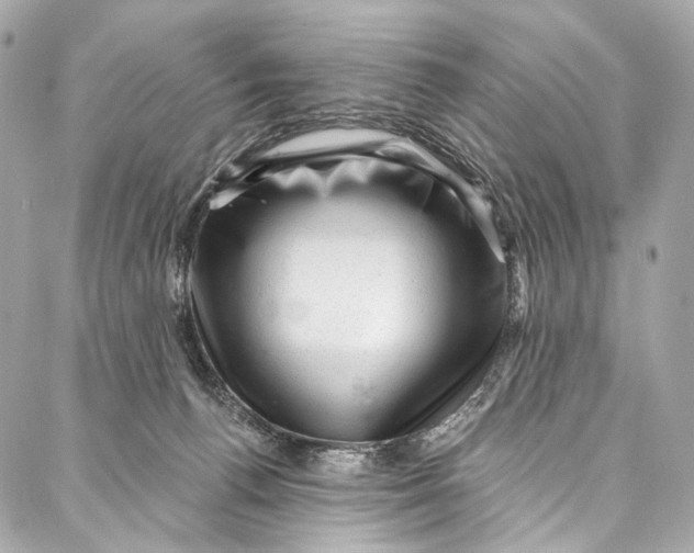 X0000087030176200705071543