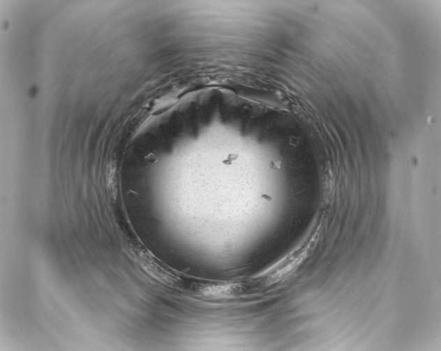 X0000087030178200705071543