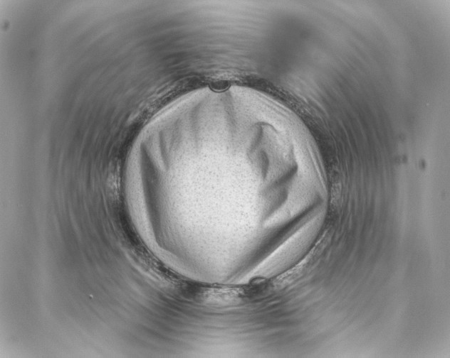 X0000087030179200705071543