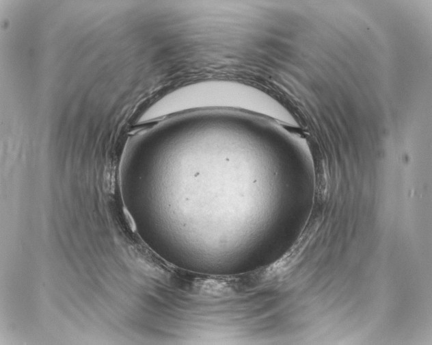 X0000087030180200705071543