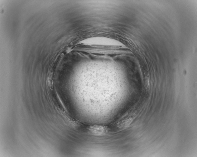 X0000087030181200705071543