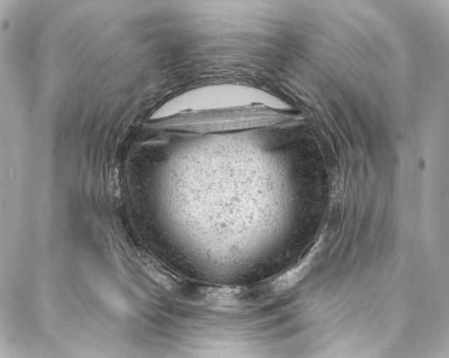 X0000087030182200705071543