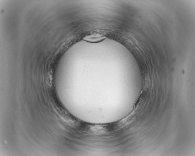 X0000087030183200705071543