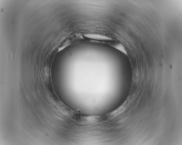 X0000087030184200705071543