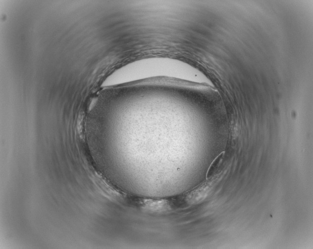 X0000087030185200705071543