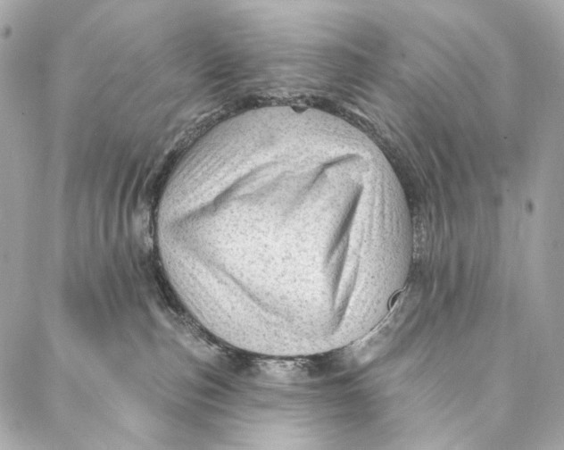 X0000087030187200705071544