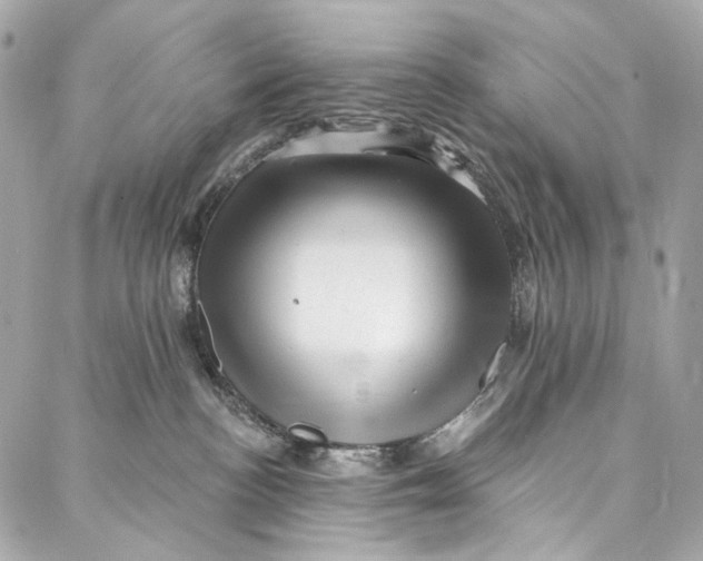 X0000087030188200705071544