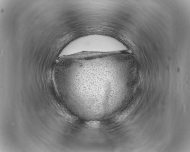 X0000087030189200705071544