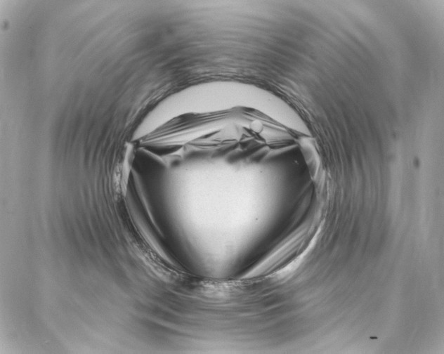 X0000087030190200705071544