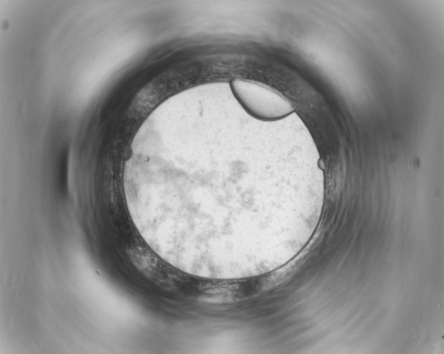 X0000087030191200705071544