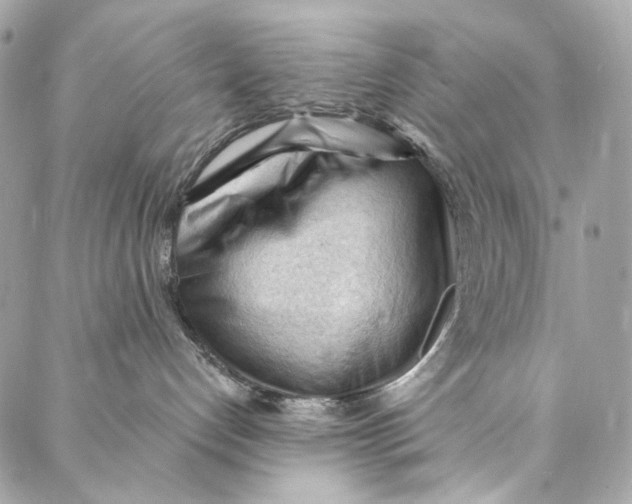 X0000087030192200705071544