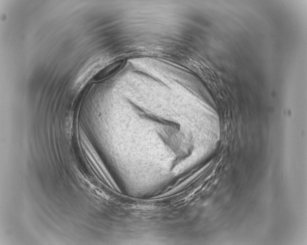 X0000087030194200705071543