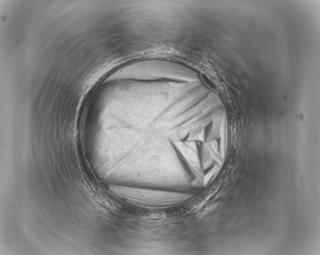 X0000087030196200705071543