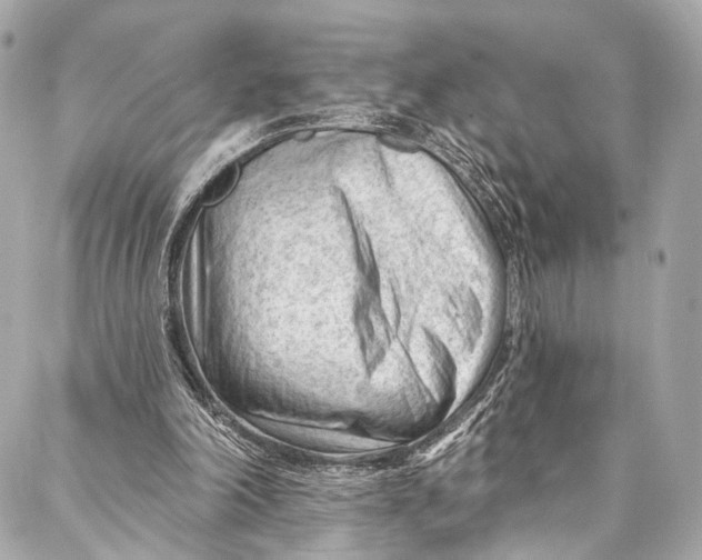 X0000087030198200705071543