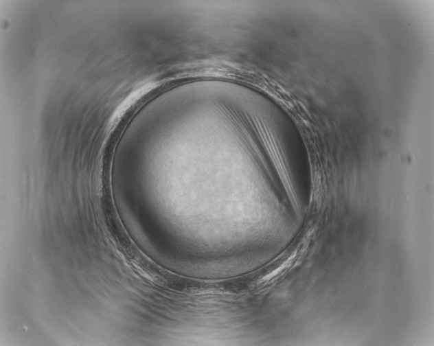 X0000087030200200705071543